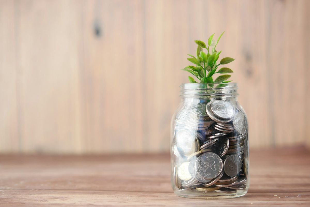 Plante som vokser opp av mynter, symbol på avkastning