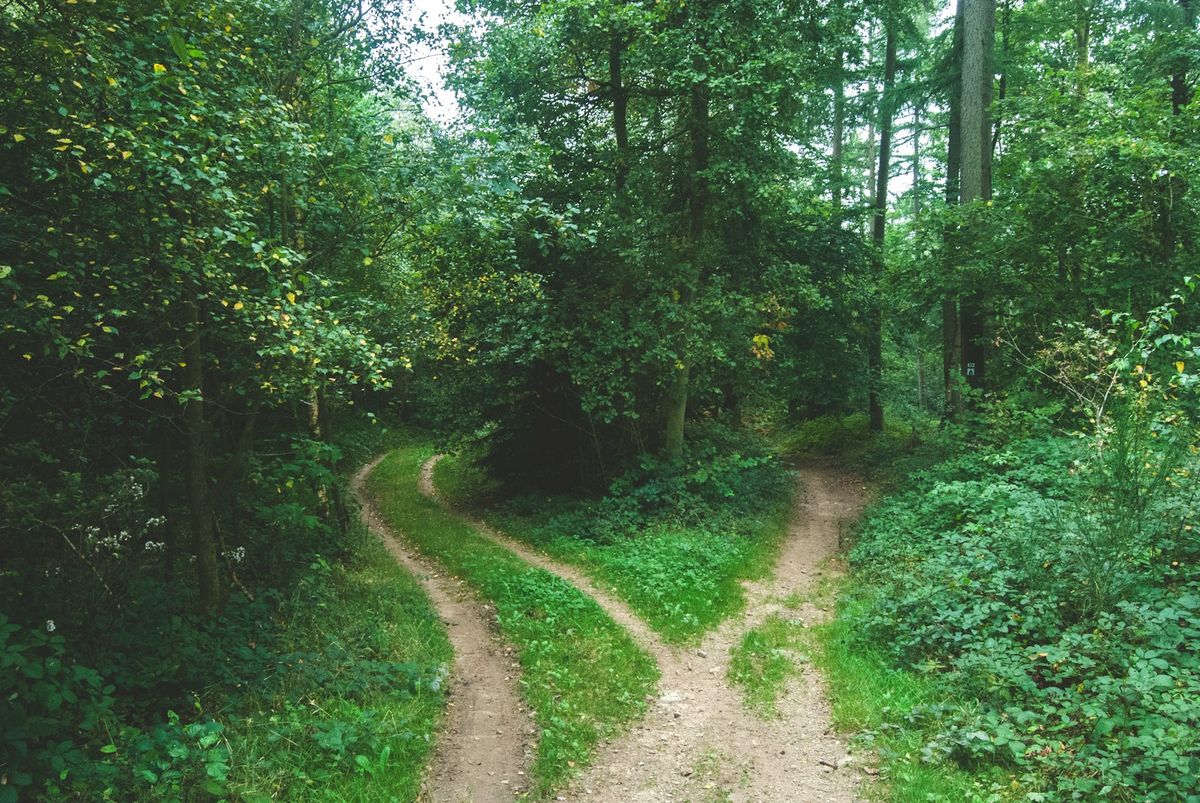 To veier å velge mellom i skogen, symboliserer valg